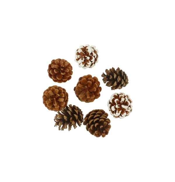 Pine cones