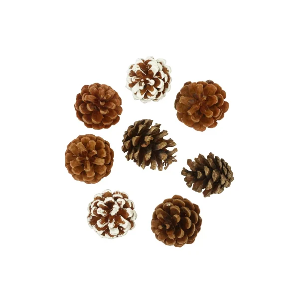 Pine cones